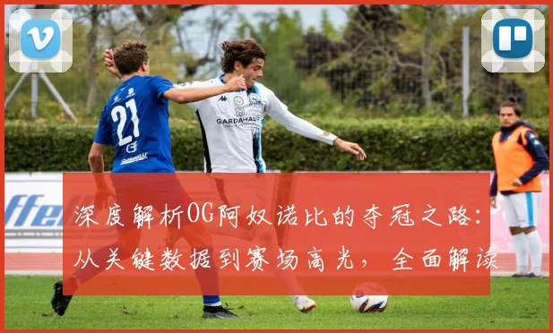 深度解析OG阿奴诺比的夺冠之路:从关键数据到赛场高光,全面解读他的决定性作用